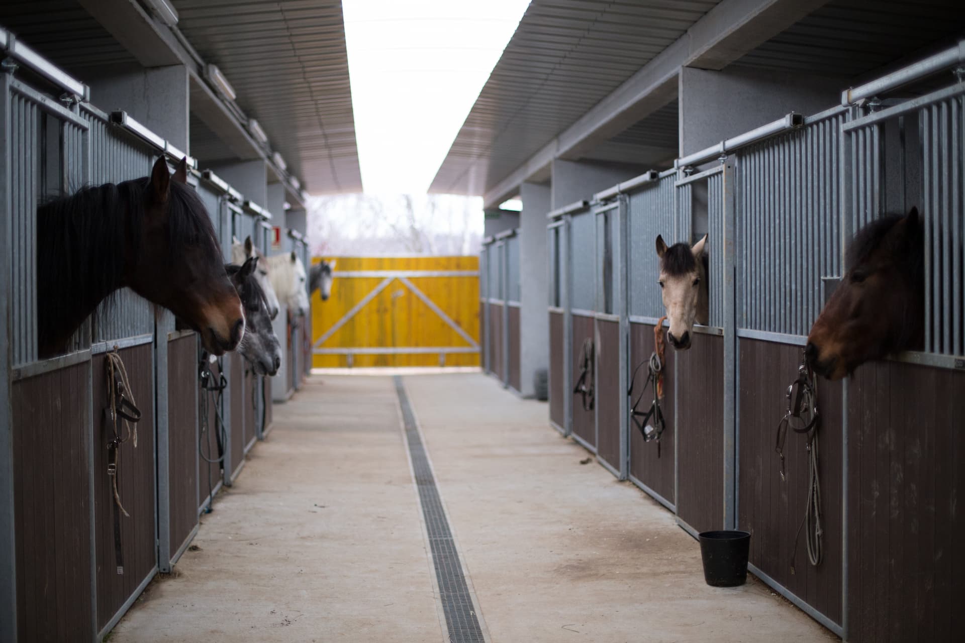 Stable Facilities